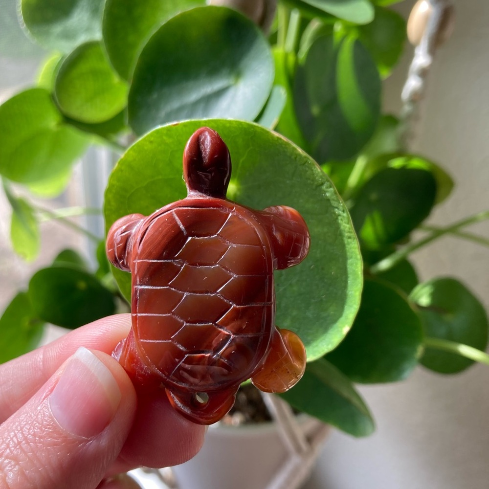 Carnelian Stone Turtle Pendant with copper colored chain